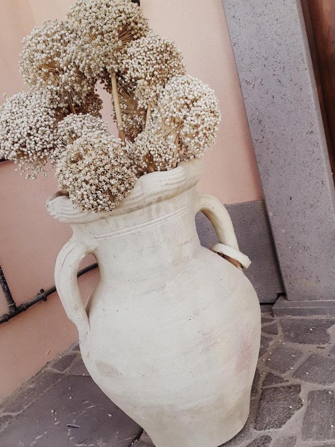 B&B La Lumachella Porano ภายนอก รูปภาพ